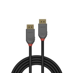 Lindy 0.5M Displayport 1.4 Cable,